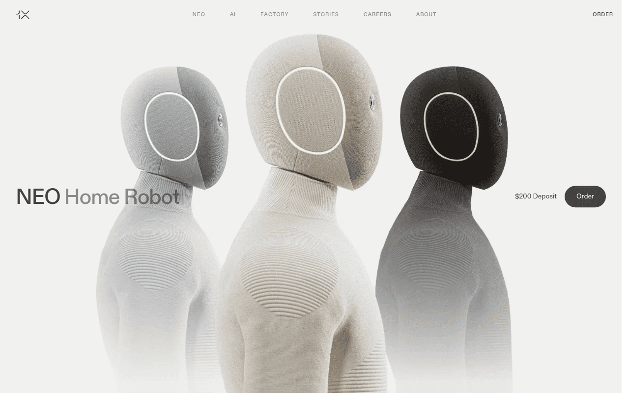1X website