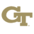 Georgia Institute of Technology