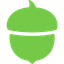 Acorns