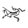 ARC'TERYX