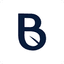 Banyan Infrastructure Corporation