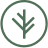 Branch Financial, LLC