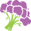 Broccoli AI