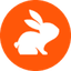 CodeRabbit