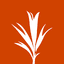 Development Seed