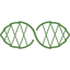 Evergreen Services Group