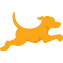 Fetch