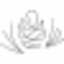 Frontier Dermatology Provider Careers