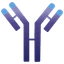 IMVT Corporation