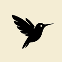 Littlebird