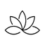 Lotus Health AI