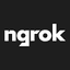 ngrok Inc.