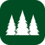 Pine Services Group