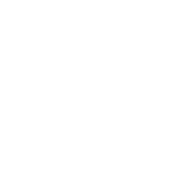 Presidents Institute