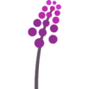 Prilenia