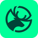 Reindeer
