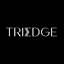 TriEdge Investments