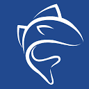 Walleye Capital Internships