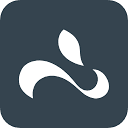 Whiterabbit.ai